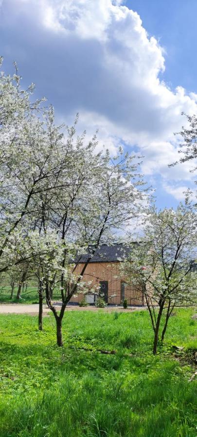Gorskie Progi Holiday home Goworow